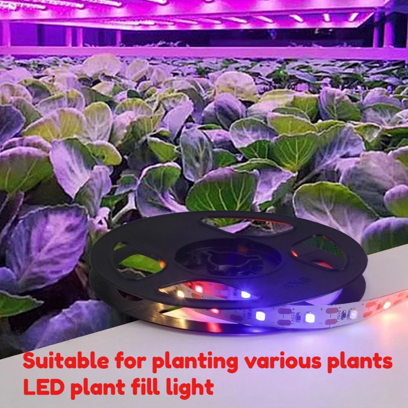 5V Sunlike Dual Color Temperature LED Grow Strip Light 5mm Width With Switch Supplement Lamp For Succulent Potted Seedling