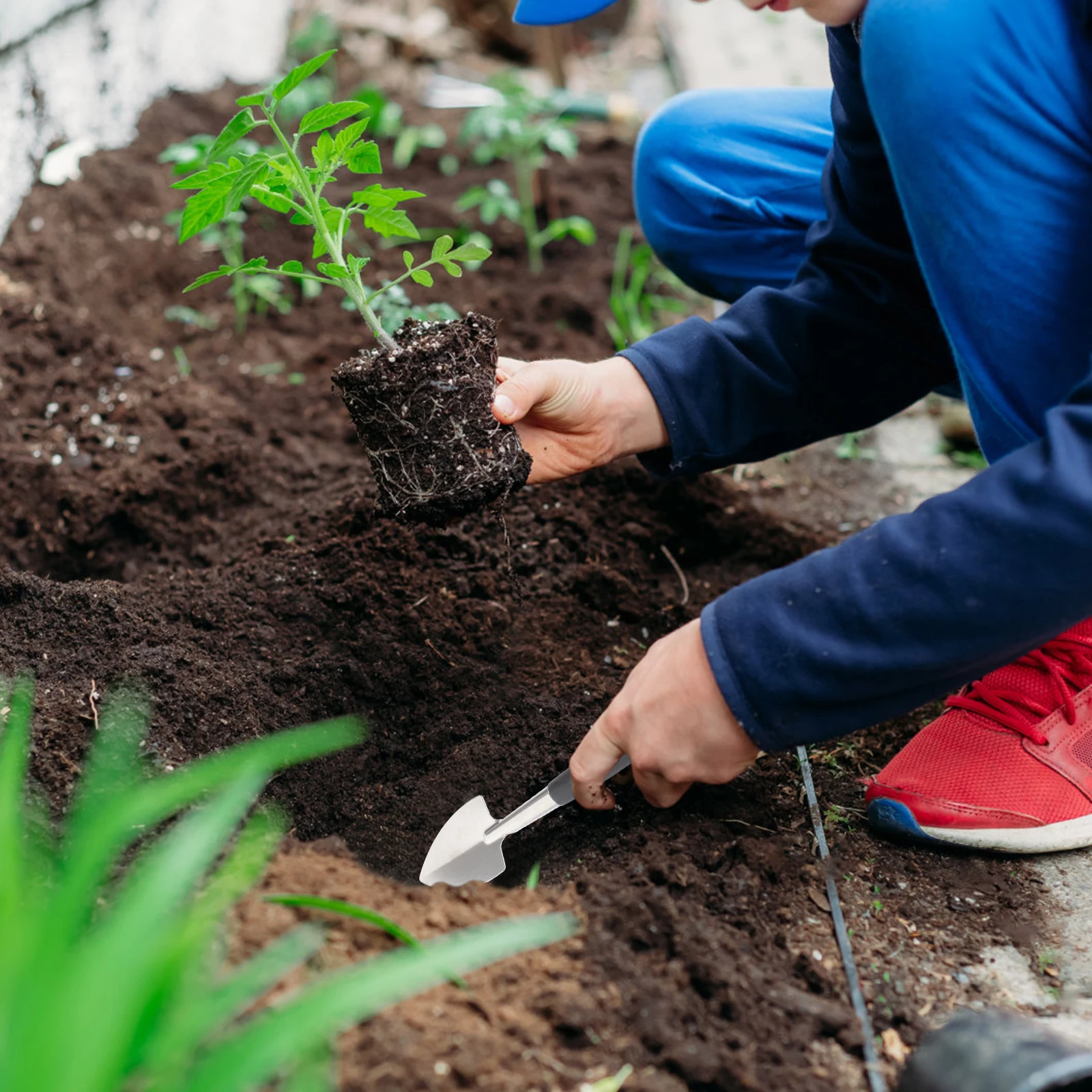 

3 Pcs Gardening Trowels Shovels Stainless Steel Tools Planting Spades Soil Loosening Ergonomic H Durable Long Life Gifts