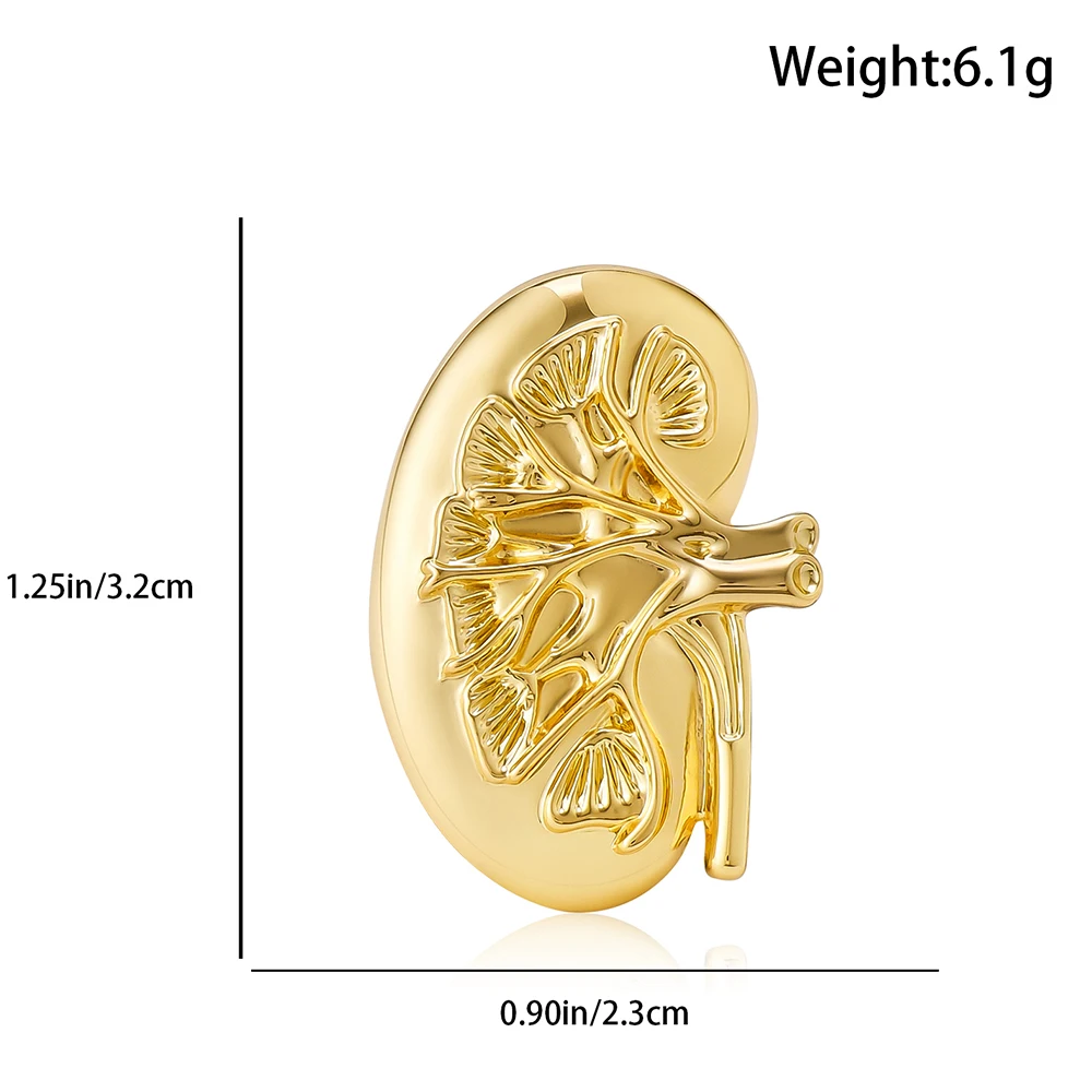 DCARZZ Kidney Brooch Pins Medical Anatomy Jewelry Endocrinology Urology Lapel Badge Collectible for Doctor Nurse