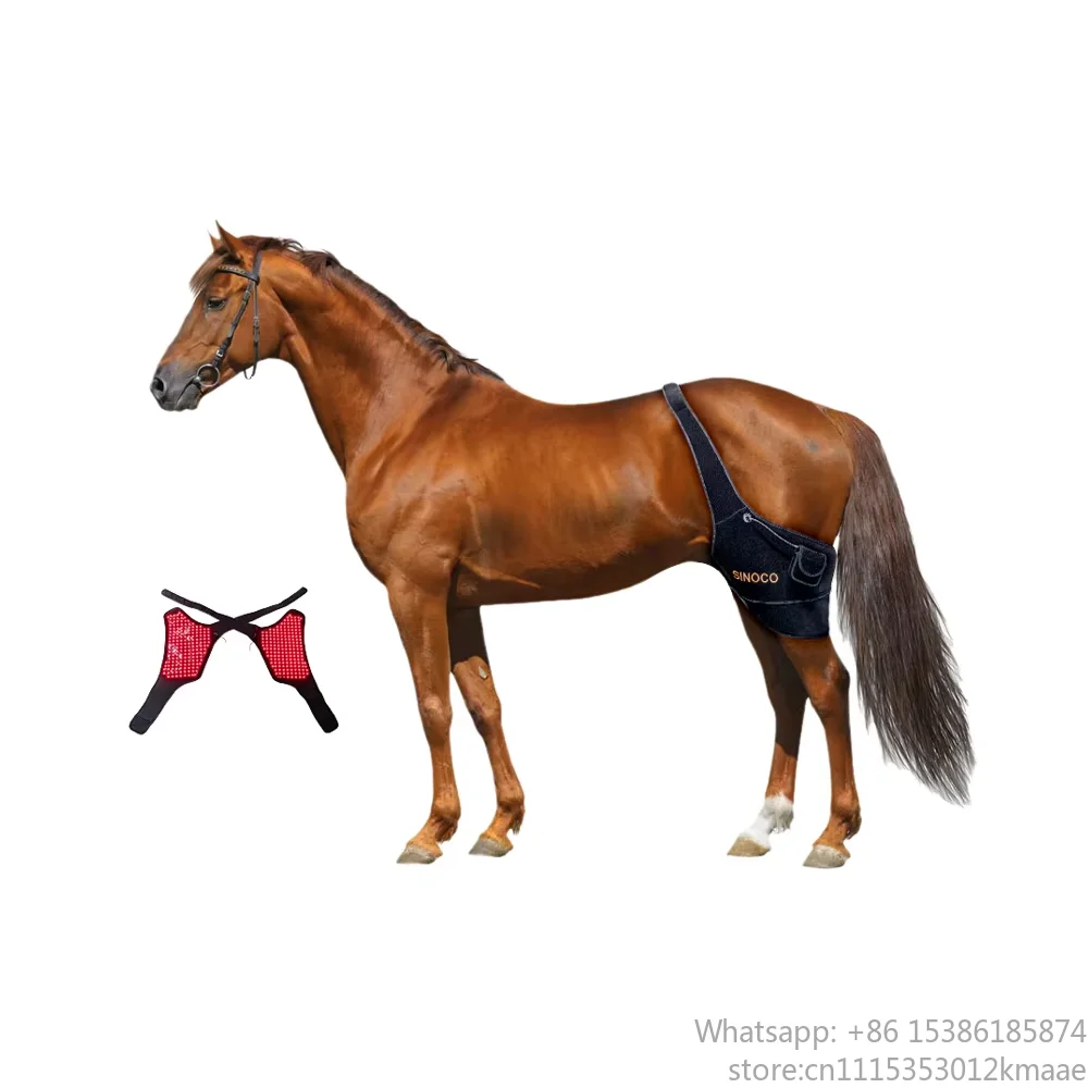 Vequyn Veterinary Horse Stifle Therapy Instrument – LED Red Light Equipment for Pets Including Dogs and Equine Use