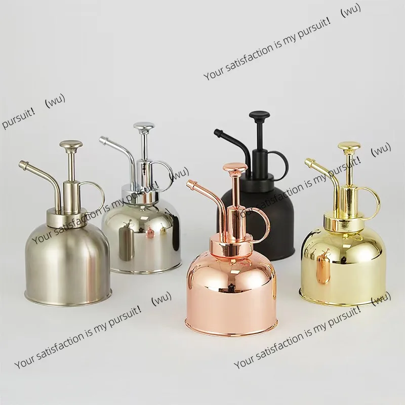 

Stainless steel watering can, retro gold, small mini manual succulent watering atomizing sprayer