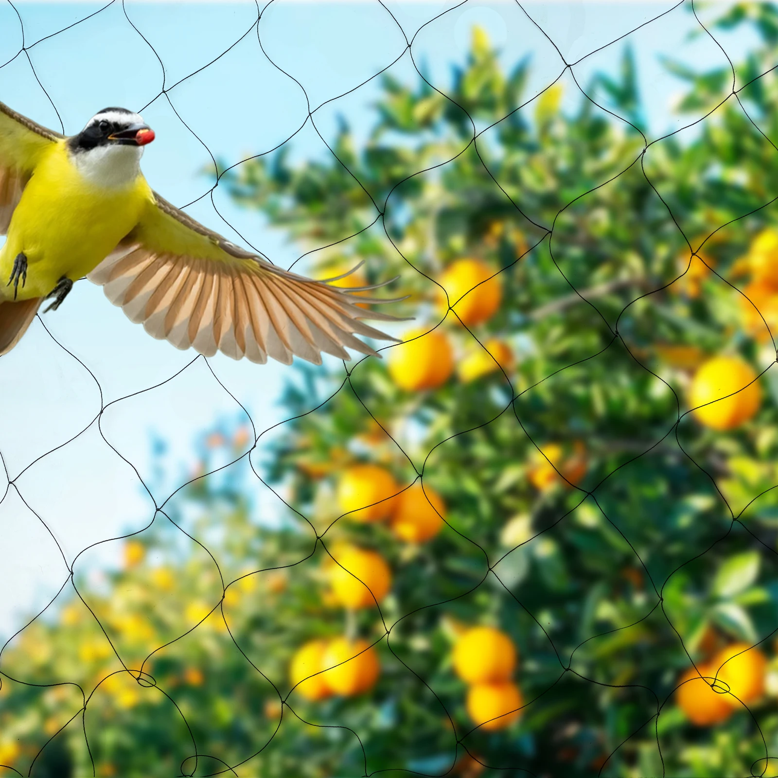 

30x15m Bird Netting Barrier,5cm Mesh Polyester,Effective Protection for Fruit Trees, Orchard Garden Anti-Bird Barrier