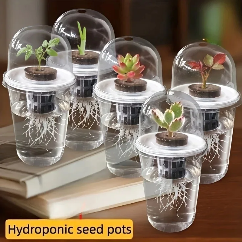 Germination Cup Visible Clear Plant Nursery Growing Box Indoor Garden Greenhouse Seed Starter Tray Transparent Root View Cup