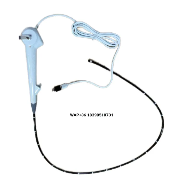 Small Animal Veterinary Portable USB Gastroscope and Colonoscopy