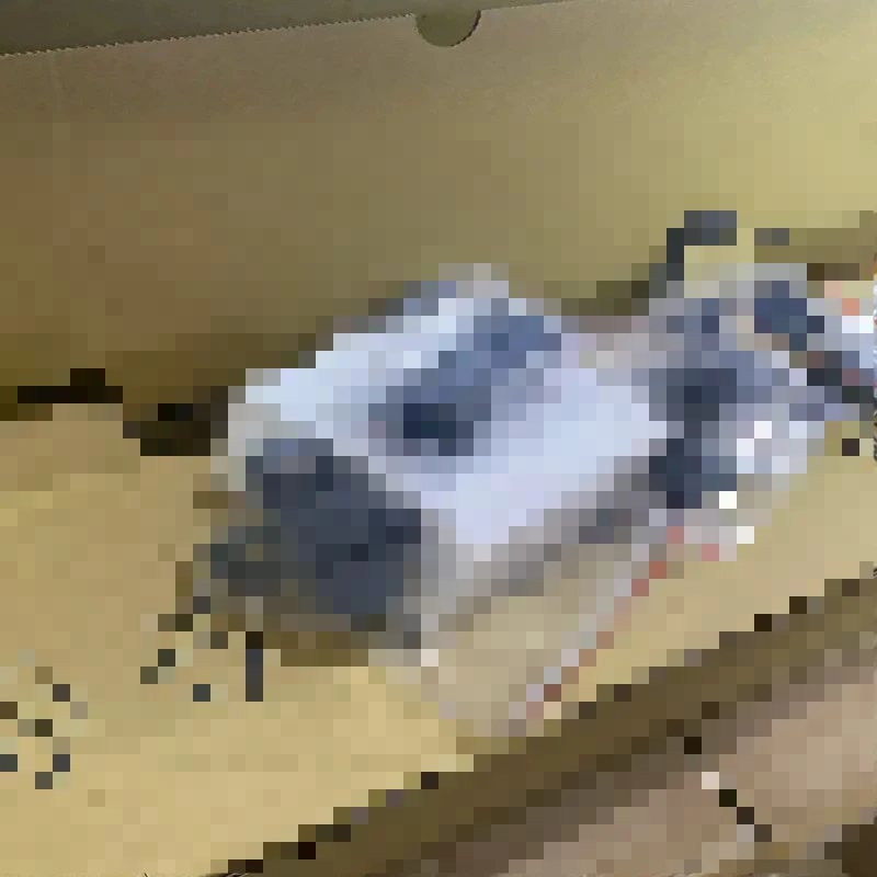 1SET For Fujitsu SP…