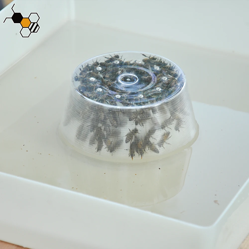 

Beekeeping Tool Plastic Top Bee Feeder