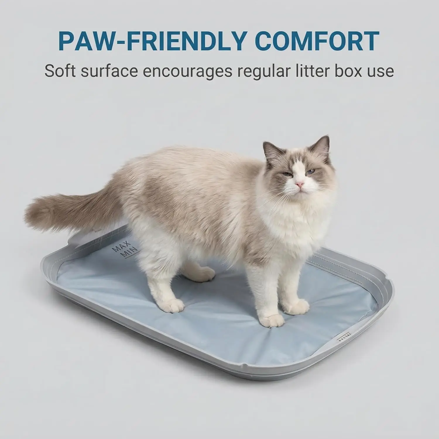 Thumbnail 3 - #18 Discounted Cat Litter Boxes Worth Buying