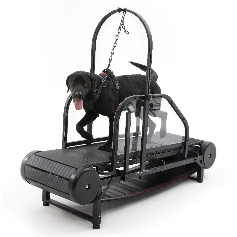 

Pet Walking Machines Dog Treadmill Large Dogs Indoor Outdoor Canine Running Machine Pet Health Fitness Doggy Exercise Equipment