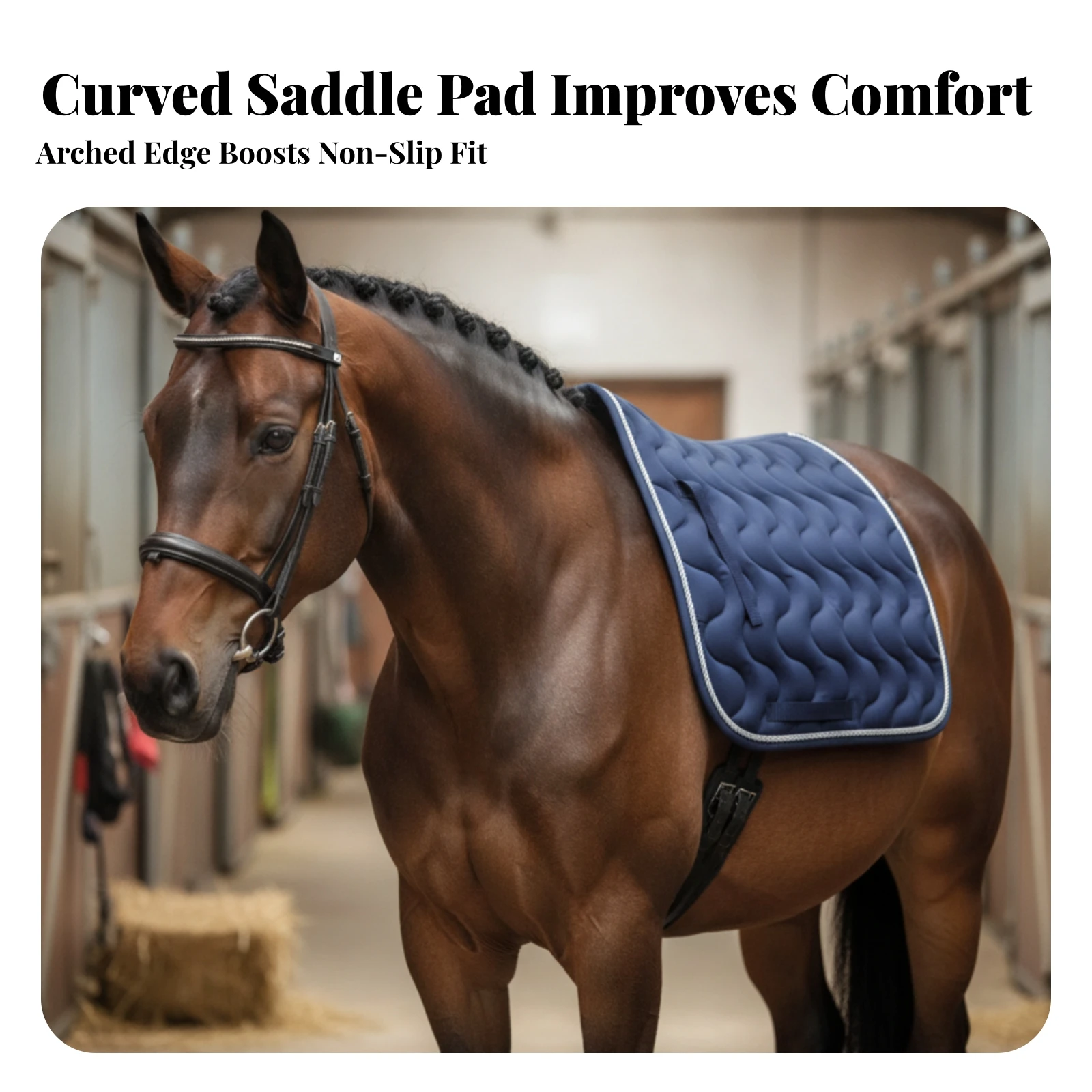 Quilted Saddle Pad Poly Blend Saddle Pad with Straps Tack Cotton Basic for Equestrians, Horseback Riding, Stables