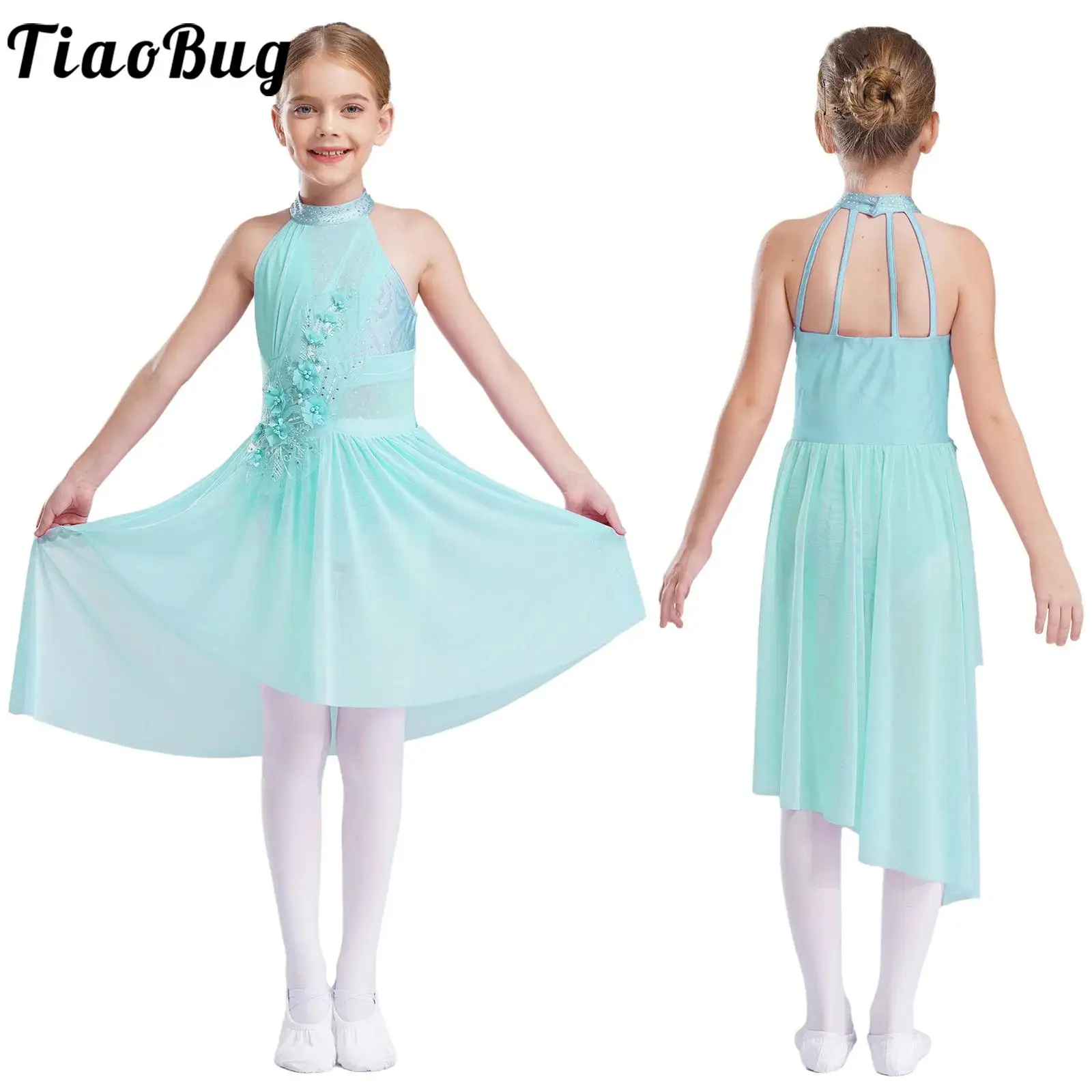 

Kids Girls Ballet Lyrical Dance Dress Applique Sheer Mesh Skirted Leotard Modern Contemporary Figure Skating Dance Costume