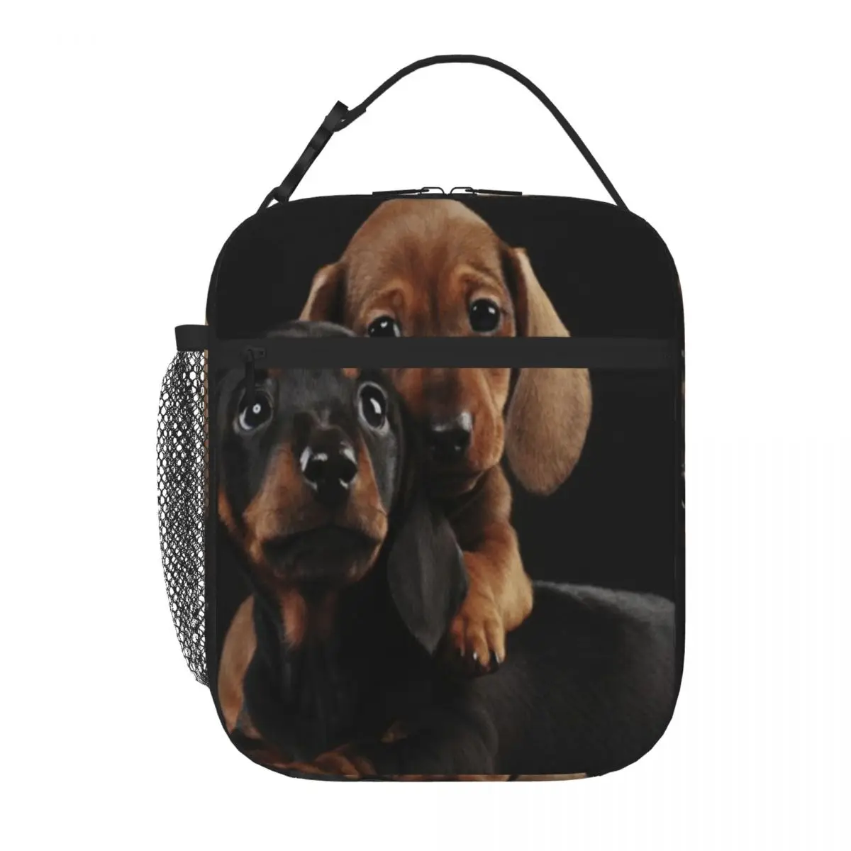 Bestselling Dachshund Dog Portrait Photo Pupies Polka Dot School Lunch Bag Daycare Meal Meal Prep Bag