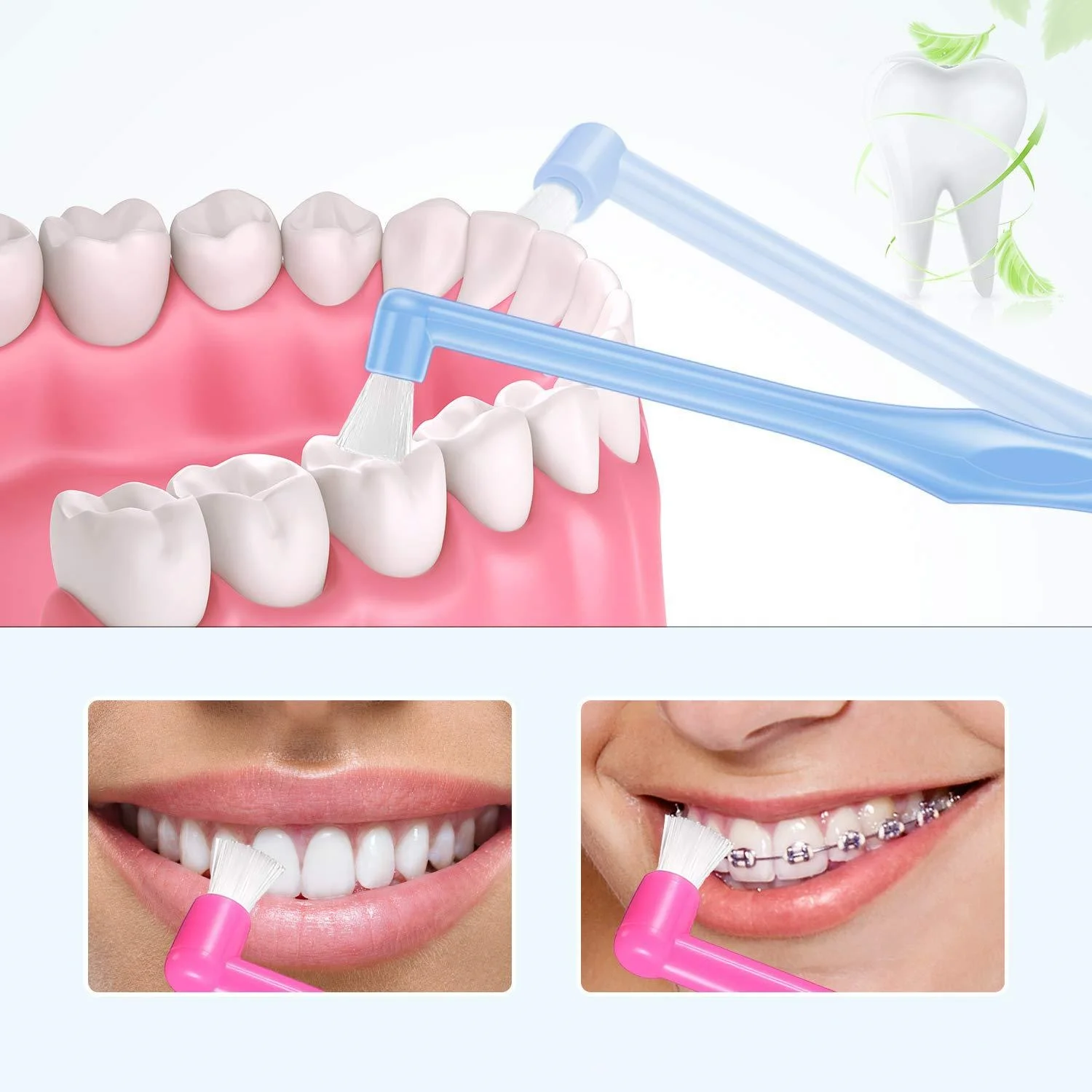 20 Stück 2-in-1 Zahnbürste mit Interdental- und Weisheitszahn-Bürstenköpfen für umfassende Mundpflege – Detail 3