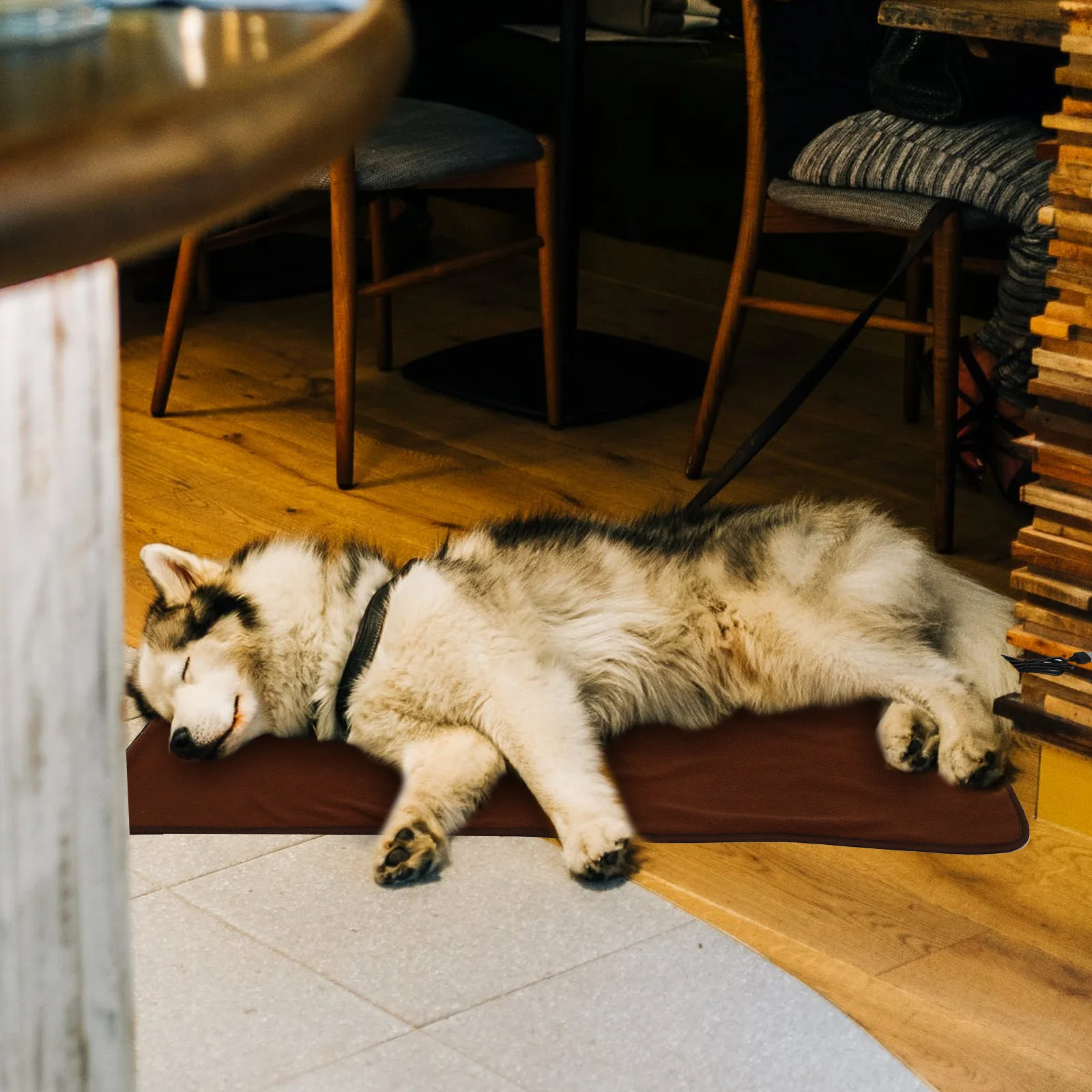 

1pc Electric Heated Dog Bed Small Dog Heating Mat Warm Floor Mat Cat Heating Pad Usb Pet Cushion Washable Pet Supply Dogs Cats