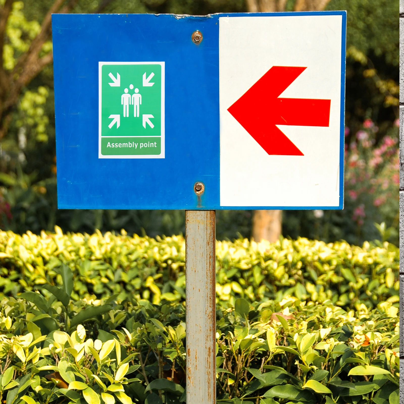 

10PCS Evacuation Sign Sticker High Visibility Self Adhesive Safety Signs Fire Exit Emergency Assembly Point Stickers Industrial
