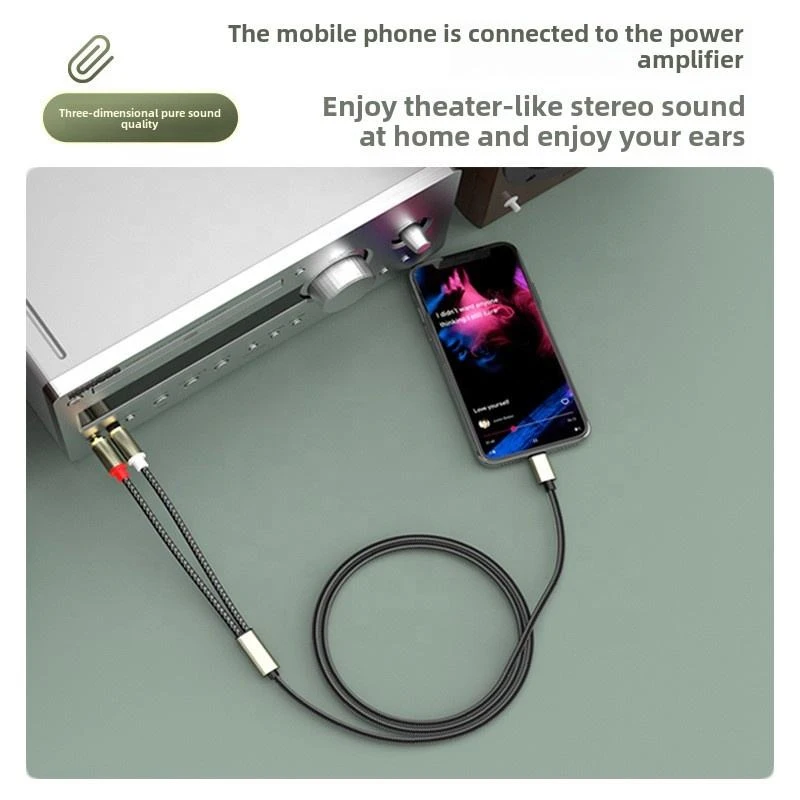 USB Typ C auf 2 Cinch-Stecker-Klinkenstecker-Adapter Typ C auf Cinch-Stecker auf Stecker Y RCA-Splitter für Auto-Hilfs-Stereo-Lautsprecher-Verstärkerkerschnur