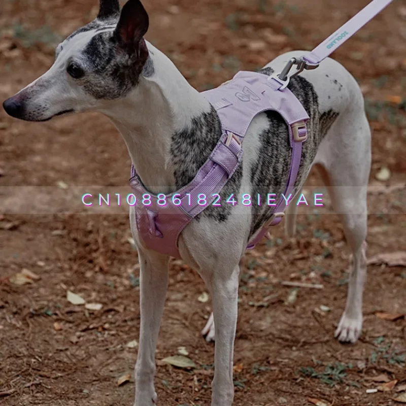 مكافحة كسر رقيقة ضوء الراحة الكلب تسخير Arnes Perro Pitbull Whybit السلوقي يسخر الكلاب اكسسوارات مستلزمات الحيوانات الأليفة #4