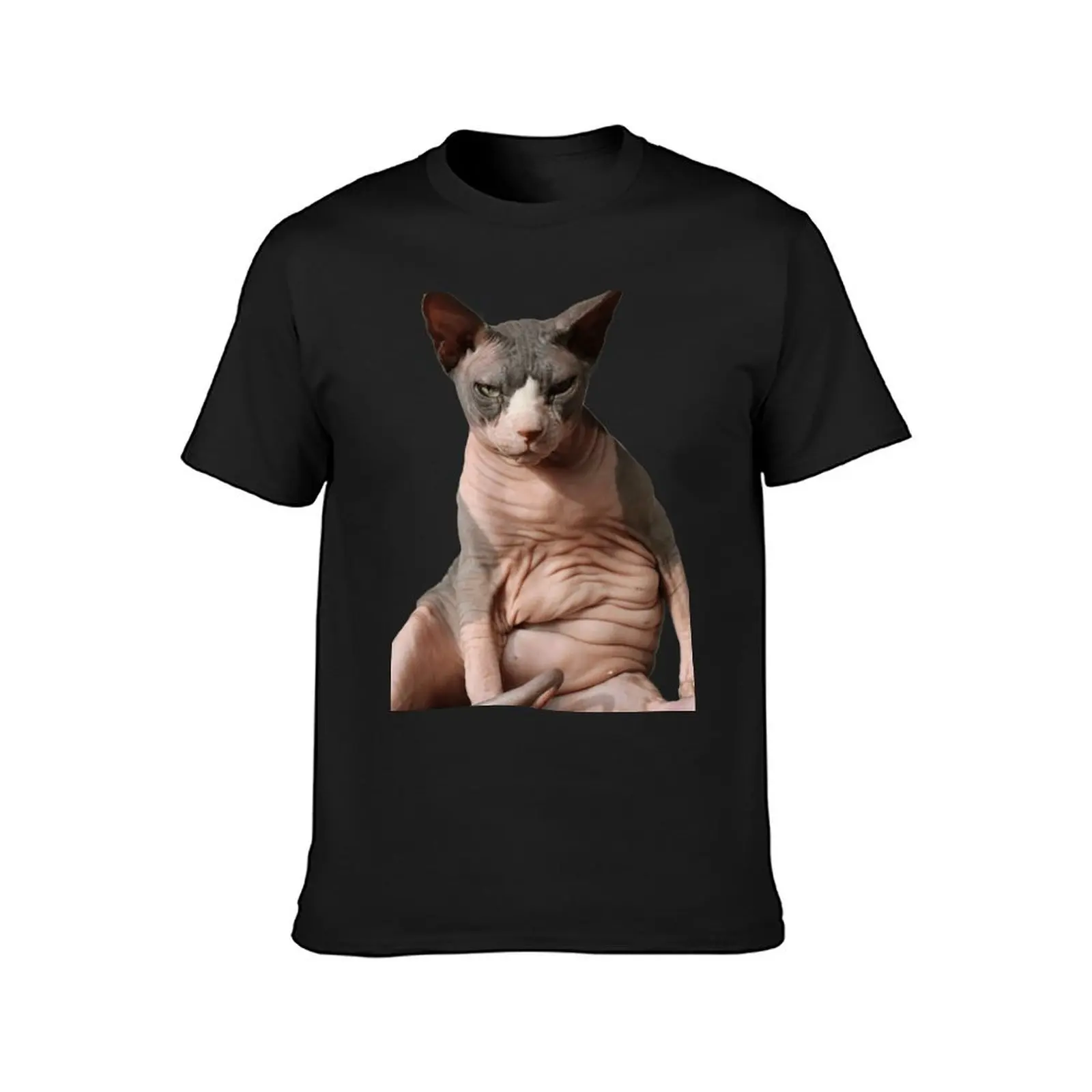 Giant hairless cat T-Shirt summer top boys whites mens workout shirts