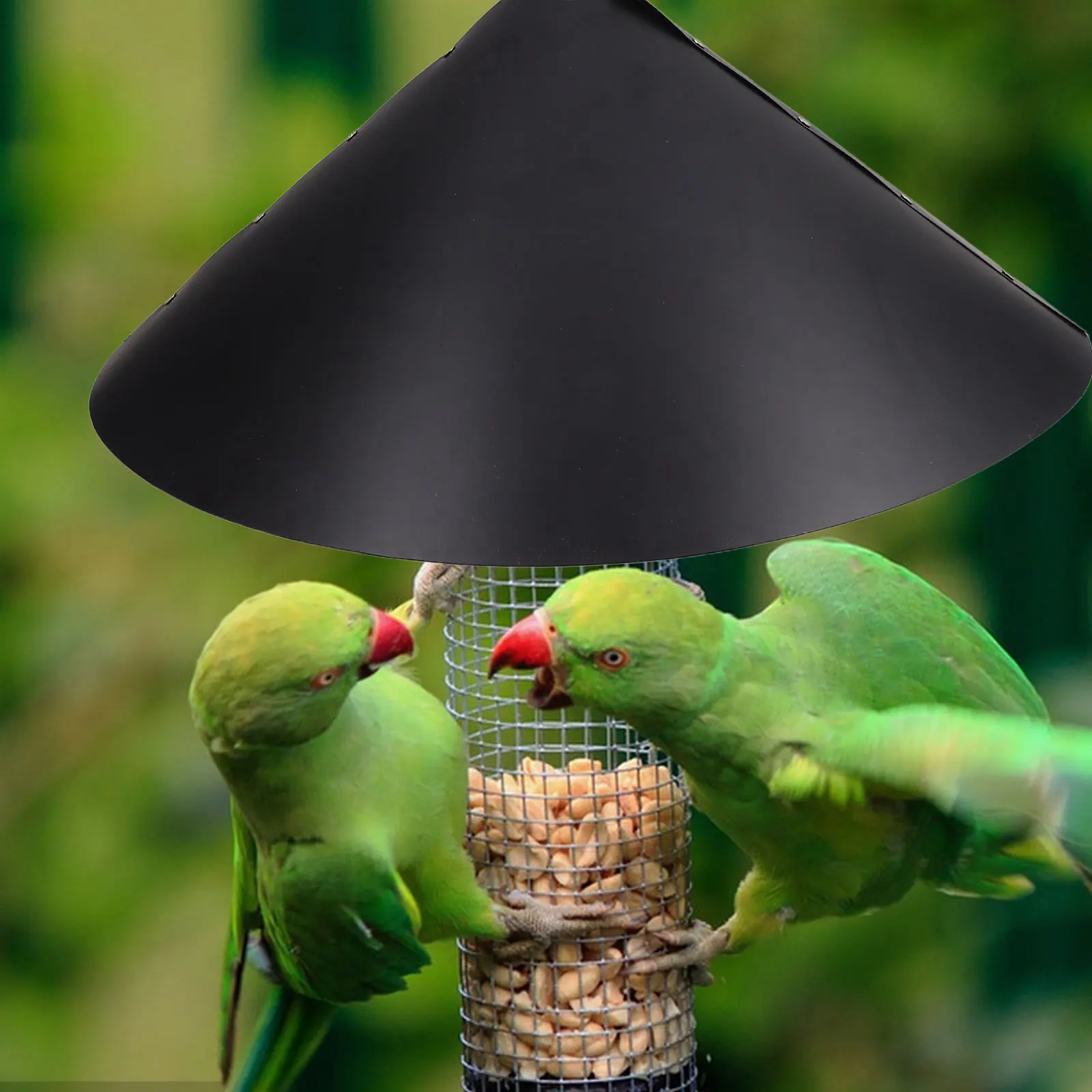

Squirrelproof Birdhouse Guard Durable Plastic Stopper Parakeet Cage Accessories Feeder Pole Mount Outdoor Use Pet