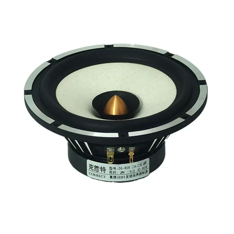 Auch-arm DG-603/P-610F 6.5 بوصة كامل التردد المتكلم سائق IIR المطاط/الجلد الحقيقي Surrouding 4/8ohm 25 واط OD = 170 مللي متر (1 قطعة)