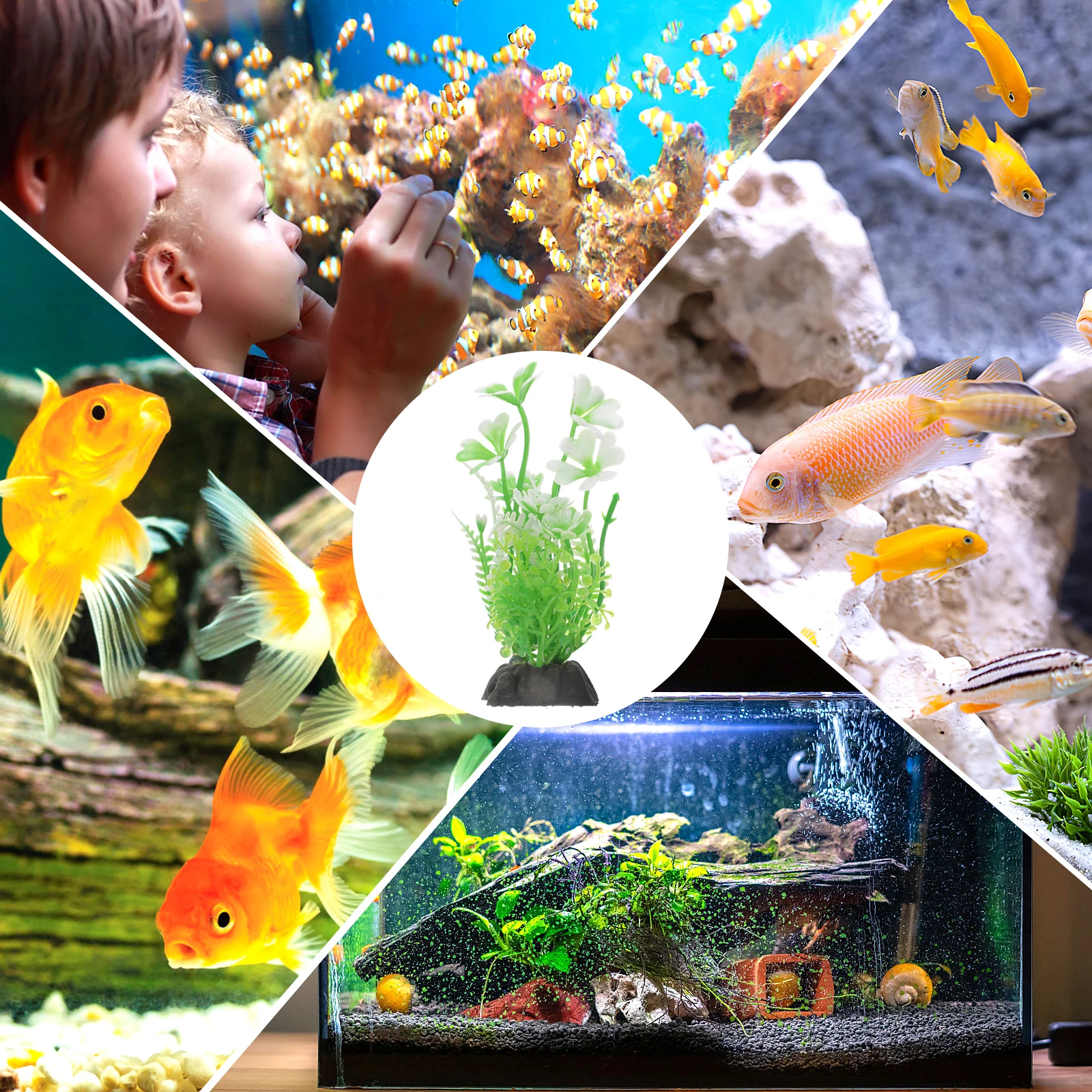 

10Pcs High Class Plastic Aquarium Grass for Betta Fish Tank Decorations Long Serving Life Small Plants Betta Fish