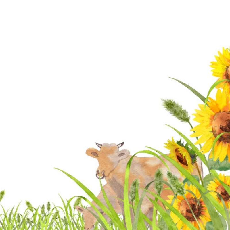 Espuma de esponja para parachoques delantero para TAMIYA TT-01 TT-02 TT01 TT02 1/10 RC, piezas de mejora de coche, accesorios de repuesto