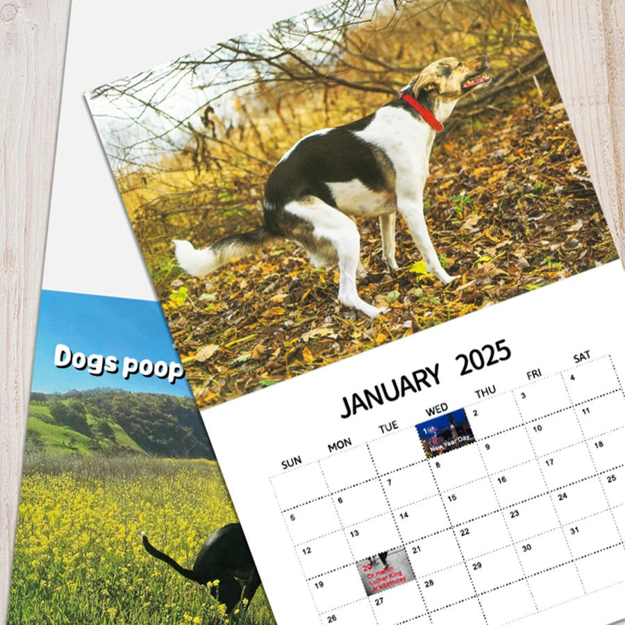 2025 Calendar Creative Illustration Shit Calendar High Quality Wall-Hanging Daily Weekly Monthly Plan Calendar Christmas Gift