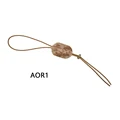 AOR1