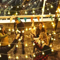1Pack 10/20/40/80 Led Globe String Lights Battery/Usb Operated Fairy Light Waterproof For Garden Christmas Wedding Party Decor 6