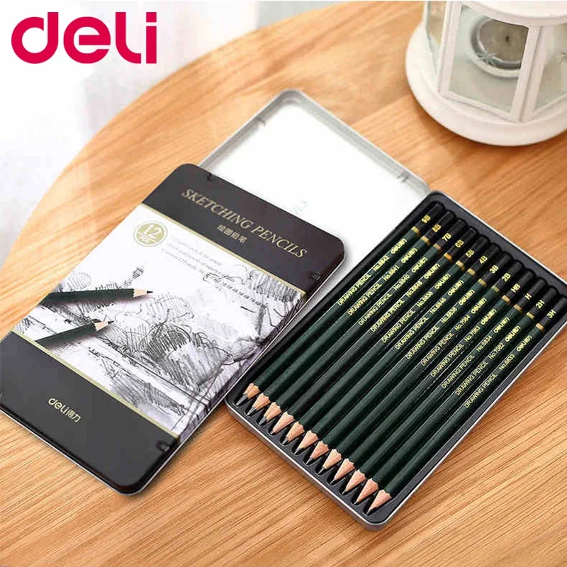 Deli 12pcs Professional Drawing Sketching Pencil Set Art Pencils Graphite Shading Pencils for Beginners & Pro Artists