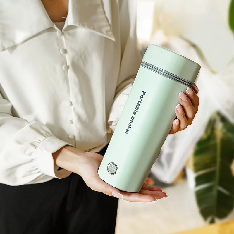 Mini Electric Heating Cup, Insulated Water Bottle Fast Boil  with Temp Control, Travel Gift for Drivers Campers, UK/EU  110V