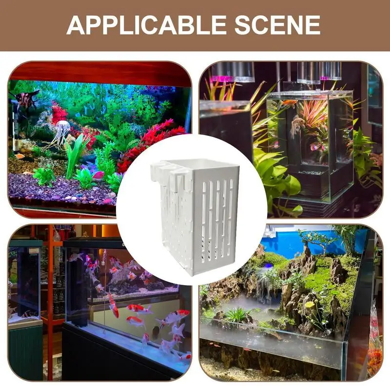 2pcs Aquarium Plant Holder Food Feeding Cups Shrimp Feeder Holder Tank Aquarium Planter Cups Aquaponic Plant Cultivation