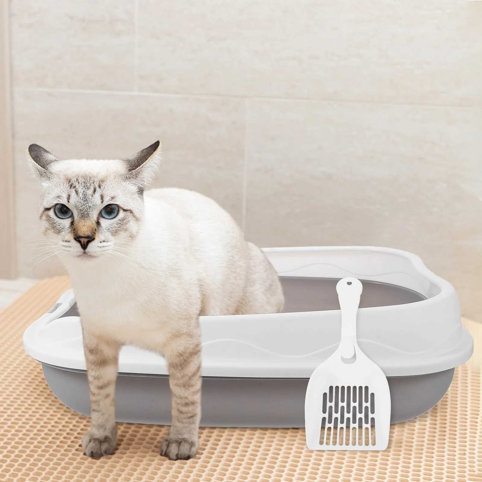 

Cat Litter Box Top Entry Semi Enclosed Spacious Abs Pet Toilet For Cats Kittens Easy Clean Foldable Large Capacity Gray