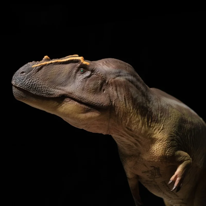 2025 Neue Tamelyraptor Meilongda King Growth Companion Actionfigur 2025, neues Lagermodell, Spielzeug für Kinder und Sammler