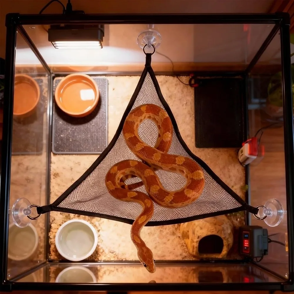 Suction Cup Reptile Hammock & Rope Perch 4