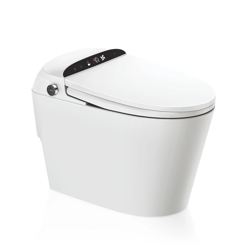 

Modern Concealed Tank One Piece Automatic Flush Smart Toilet