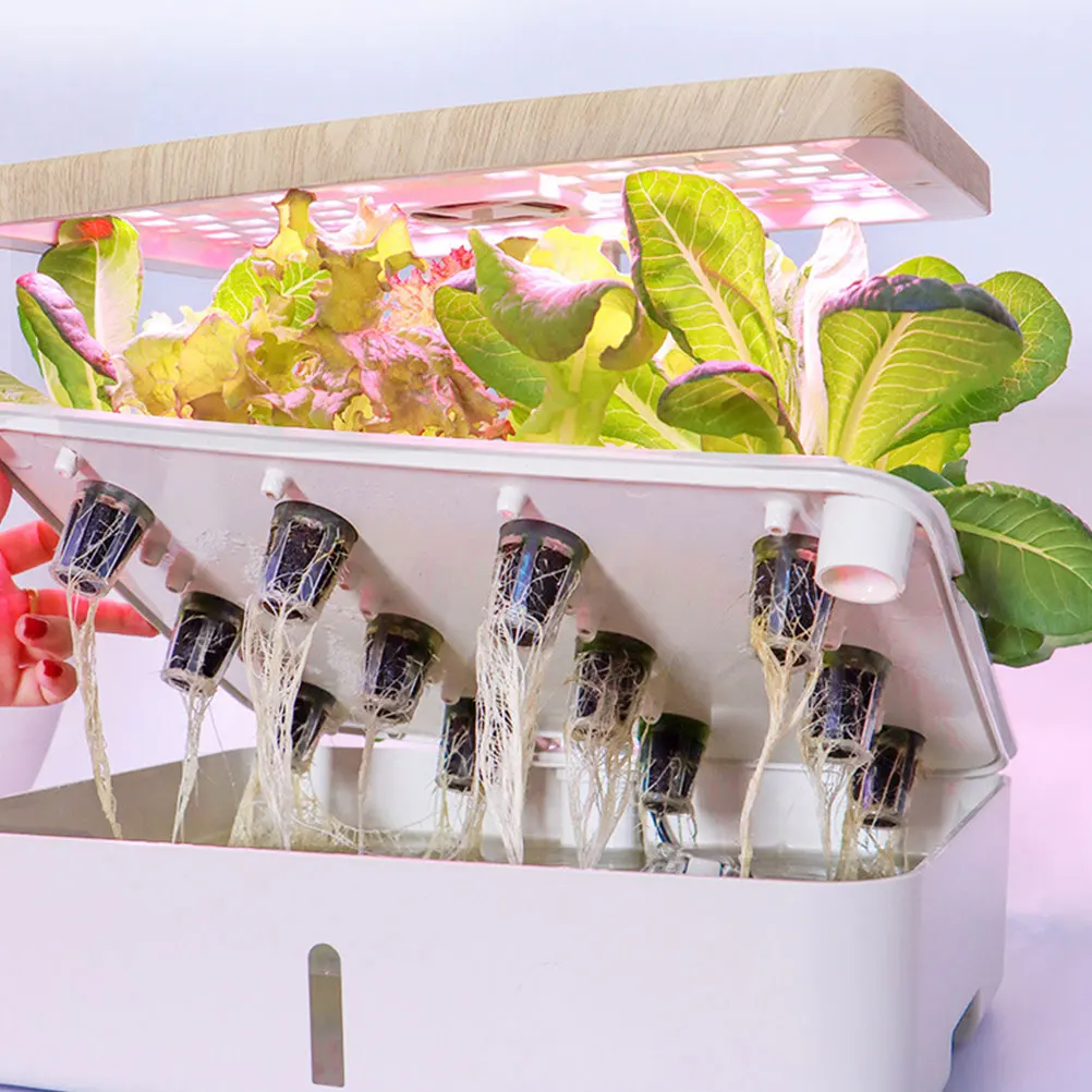 

12 Sets Blocks Durable Soilless Culture Net Garden Net Cups Cups Planting Buckets Nursery Pots Garden Hydroponics