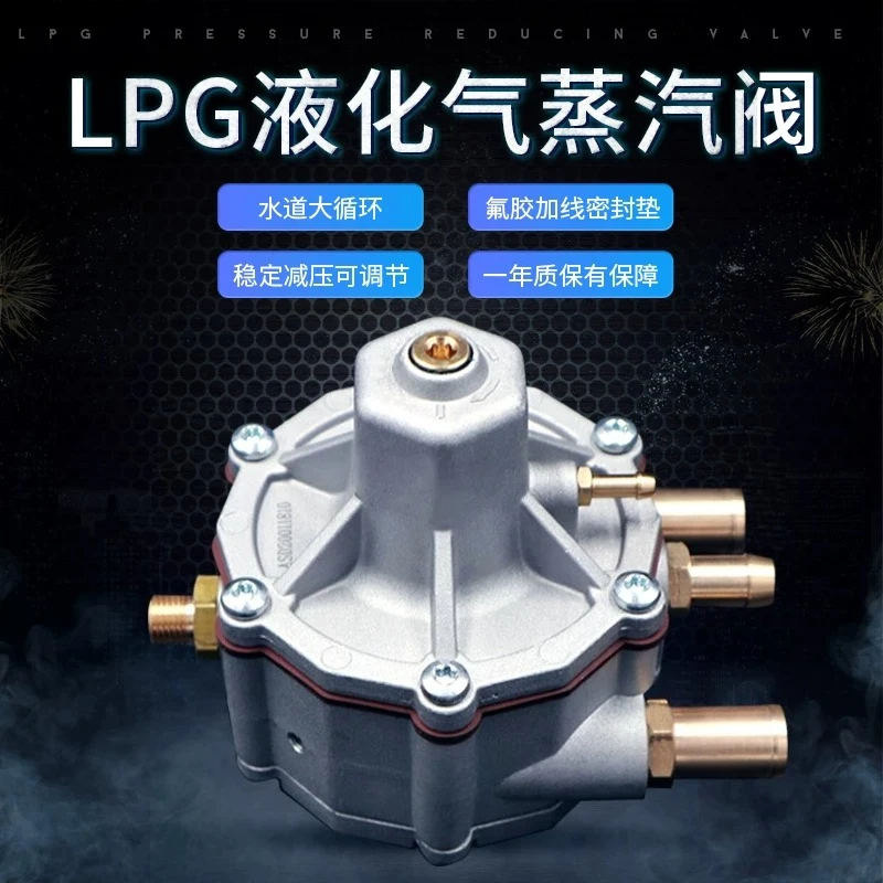 Automobile Natural Gas Accessories LPG Liquefied Gas Pressure Reducing Valve Vehicle Direct Injection Evaporator