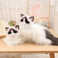 50CM Simulated Ragdoll Cat Plush Toys Long Haired Blue Sequins Eyes Dolls Kawaii Home Decoration Lifelike Pet Toys