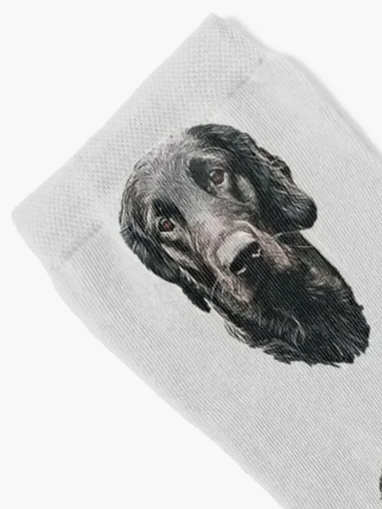 Flat Coated Retriever - Stunning Dog! Socks Christmas Sports essential New year's Designer Man Socks Women's