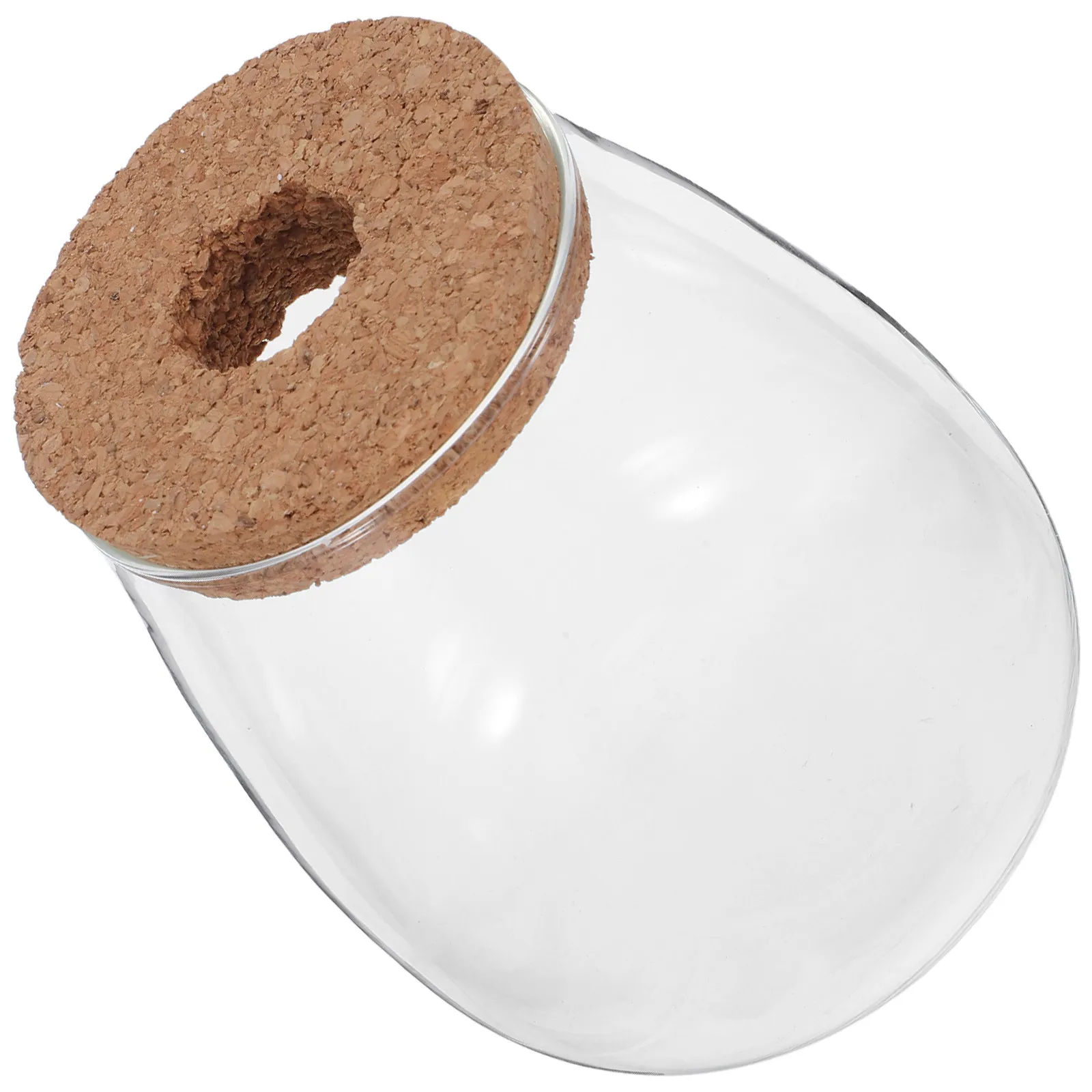 

Стеклянная ваза для размножения растений с пробкой - Прозрачный контейнер для гидропоники, для черенков, орхидей, воздушных растений, террариум-банка для подоконника