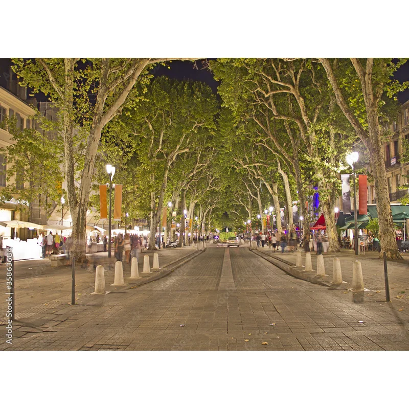 خلفيات تصوير فوتوغرافي اوروبية عتيقة من نيتري ، مستلزمات مشهد ، خلفيات صور زفاف ، خلفية استوديو ، *