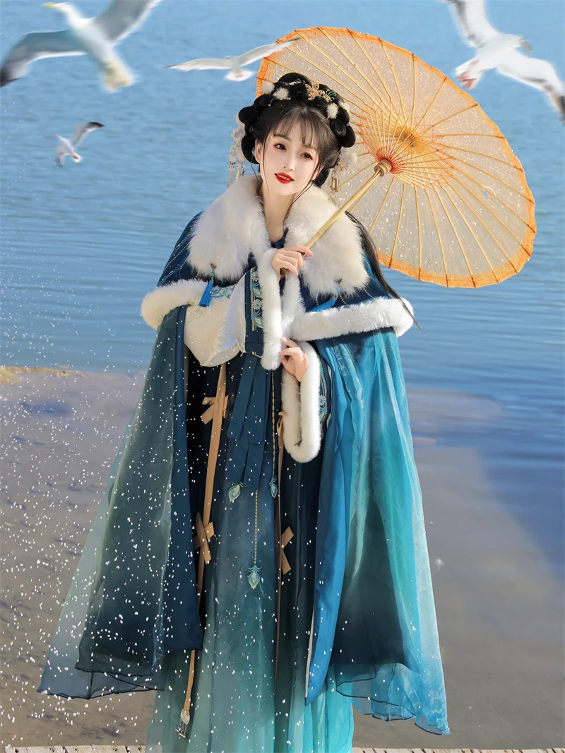 Hanfu female chest-length Tang-made fairy Han element daily autumn and winter shawl cape