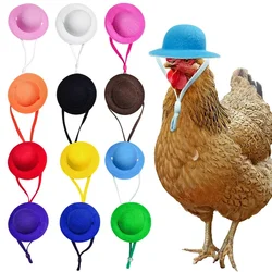 NEW Chicken Helmet Chicken Hat Hens Pets Accessories Hen Top Hat for Rooster Duck Parrot Hamster Stylish Show DIY Doll Headdress