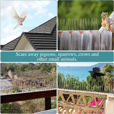 Fågelspikar Avskräckande Material Fågelskrämmare Duvor Djuravskräckande Förvånar Fåglar Anti Utomhus Skadedjursbekämpningsprodukter Hem 10 best sales fågelskrämma - №10