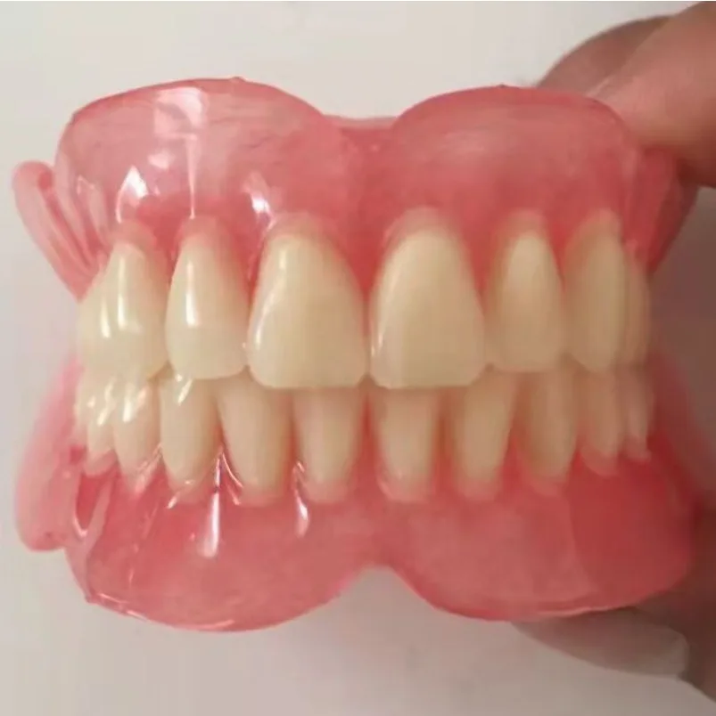 Full-mouth Resin Tooth Sample Model, Full-mouth Denture Display Props, Dental Teaching Exhibits