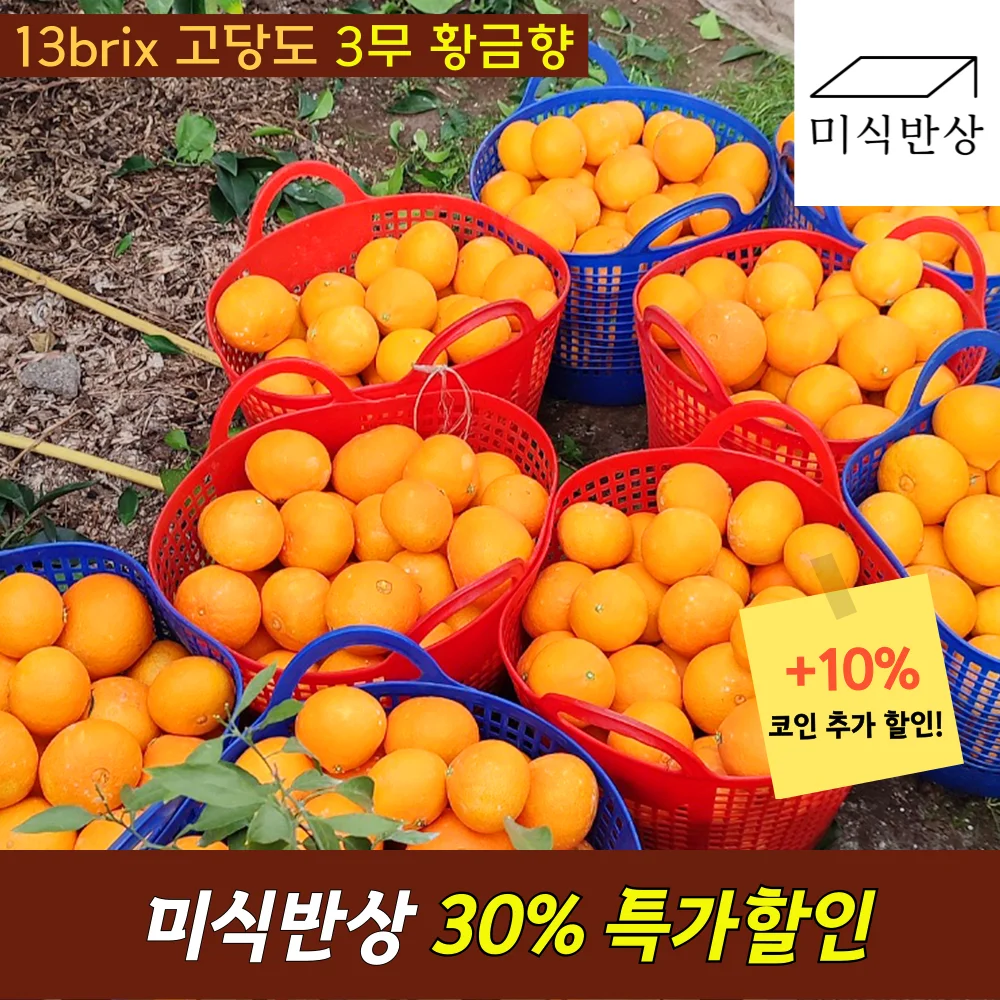 الطازجة Jeju Cheonhyehyang Cheonhyang Cheonhyehyang كارا اليوسفي اليوسفي Hanrabong البرتقال اليوسفي الحمضيات كارا البخور Karahyang الفاكهة في Seogwipo