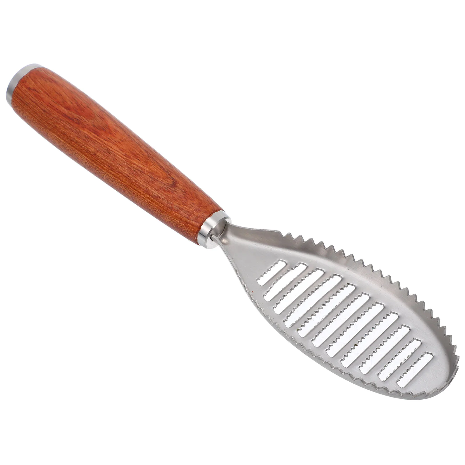 

Fish Scaler Kitchen Gadget Removing Tool Stainless Steel Scraper Cleaner Skin Cleaning Peeler Tools