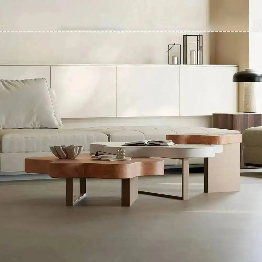 

Modern Nordic Coffee Table Beauty Premium Unique Design Coffee Table Beauty Organizer Table Basse Pour Salon Home Furniture