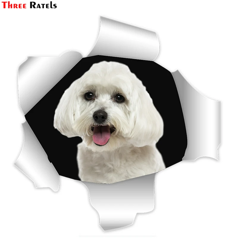 Three Ratels  FC895 Maltese Dog Malta Puppy for opel decal cute stickers custom car sticker Auto accessories &decoration