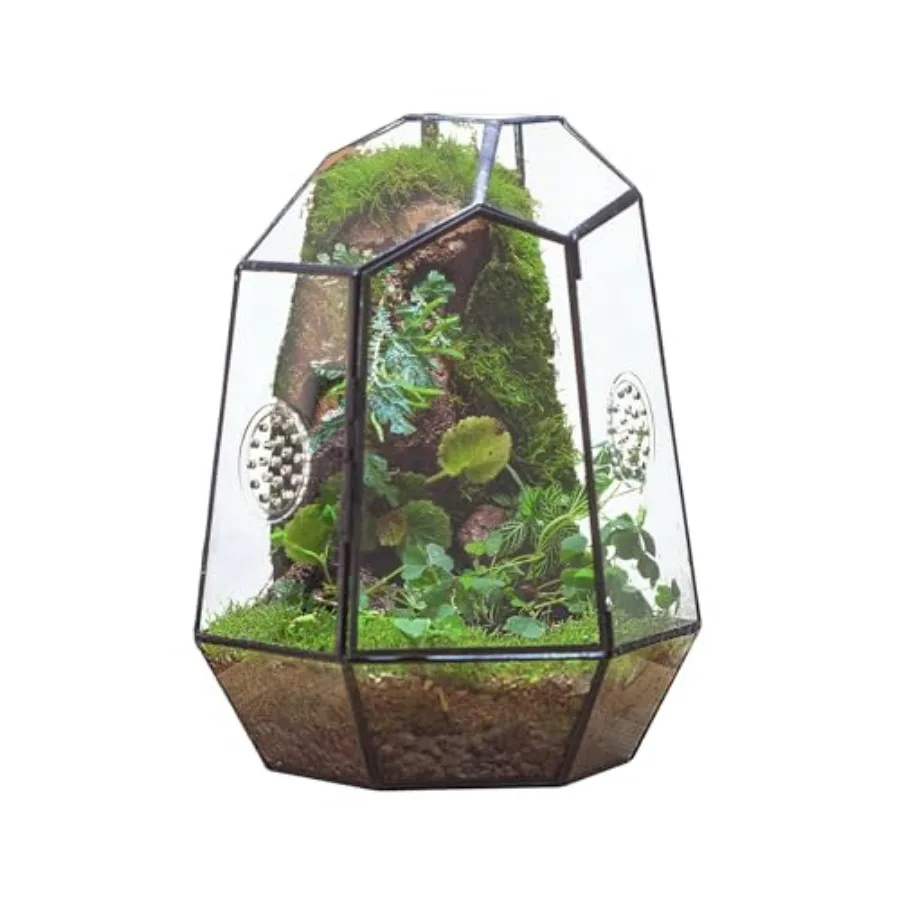 

Closed Geometric Glass Enclosure with Front Opening Door and 2 Vent Holes for Insects Succulent Cacti - 7.9"x6.9"x9.8" Black Ir